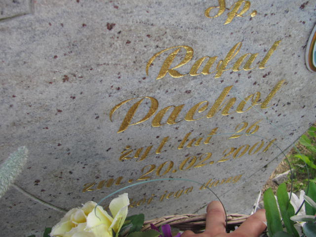 Patryk Kowalewski 1993 Wałbrzych - Grobonet - Wyszukiwarka osób pochowanych