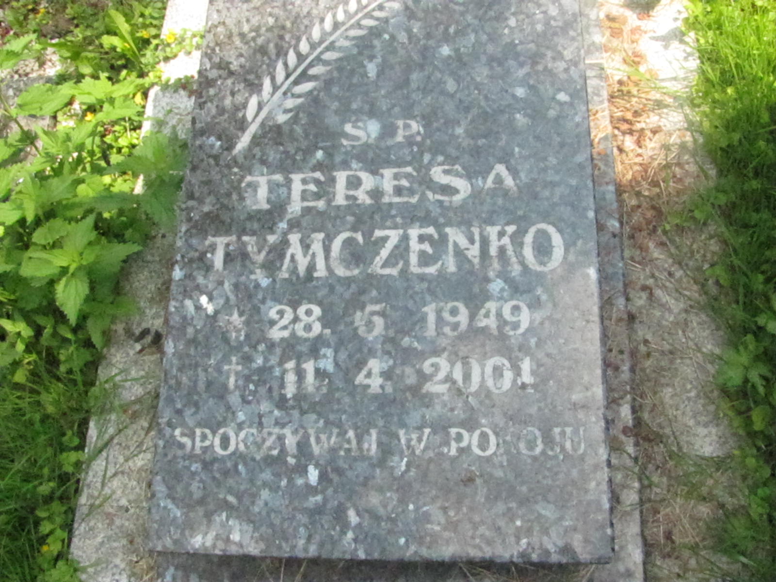 Zdjęcie grobu