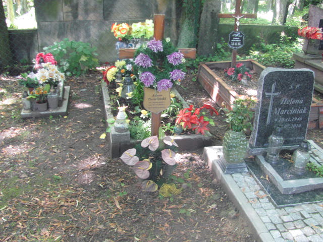 Grób Adam Turaliński